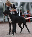 Favorit Elen Dog Gerda 19 m