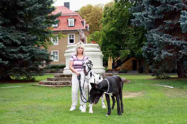 Parkhotel vom Schloss Meisdorf